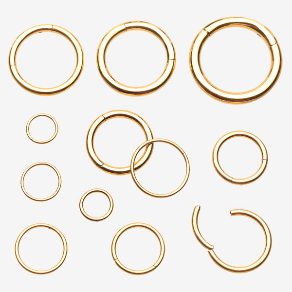 Pure24K Implant Grade Titanium Basic Seamless Hinged Clicker Hoop Ring